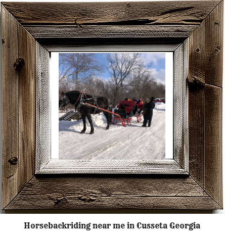 horseback riding near me in Cusseta, Georgia